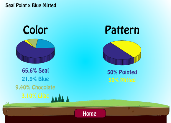 New Color/Pattern Predictor!